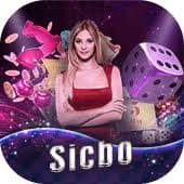 KYC verification step on halobet slot